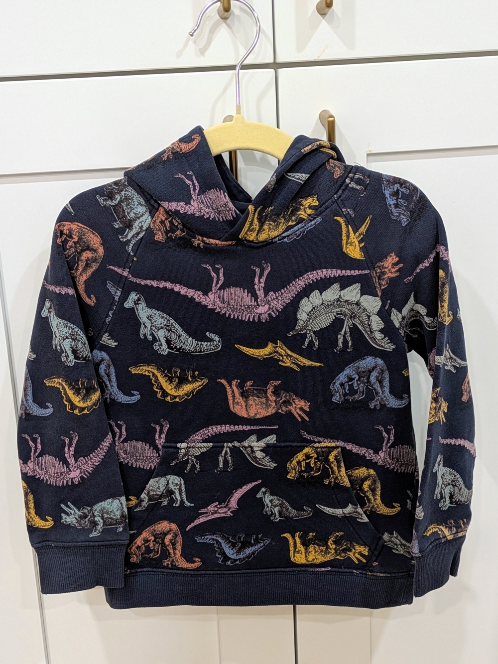 Ripzone Navy Dinosaur Hooded Sweatshirt